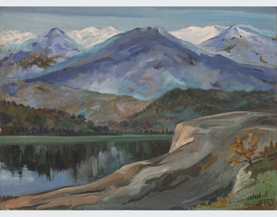 Paisaje Patagónico